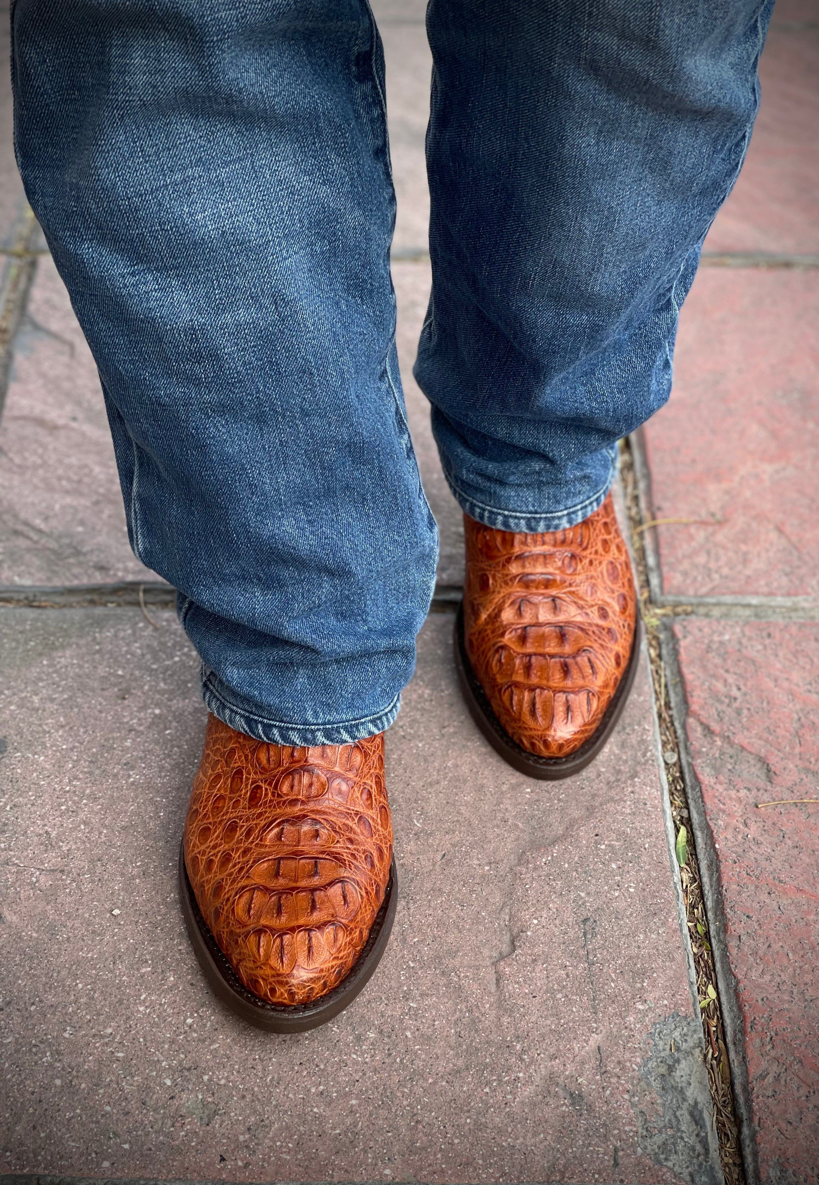 Bota Deluxe - Cocodrilo Shedrón