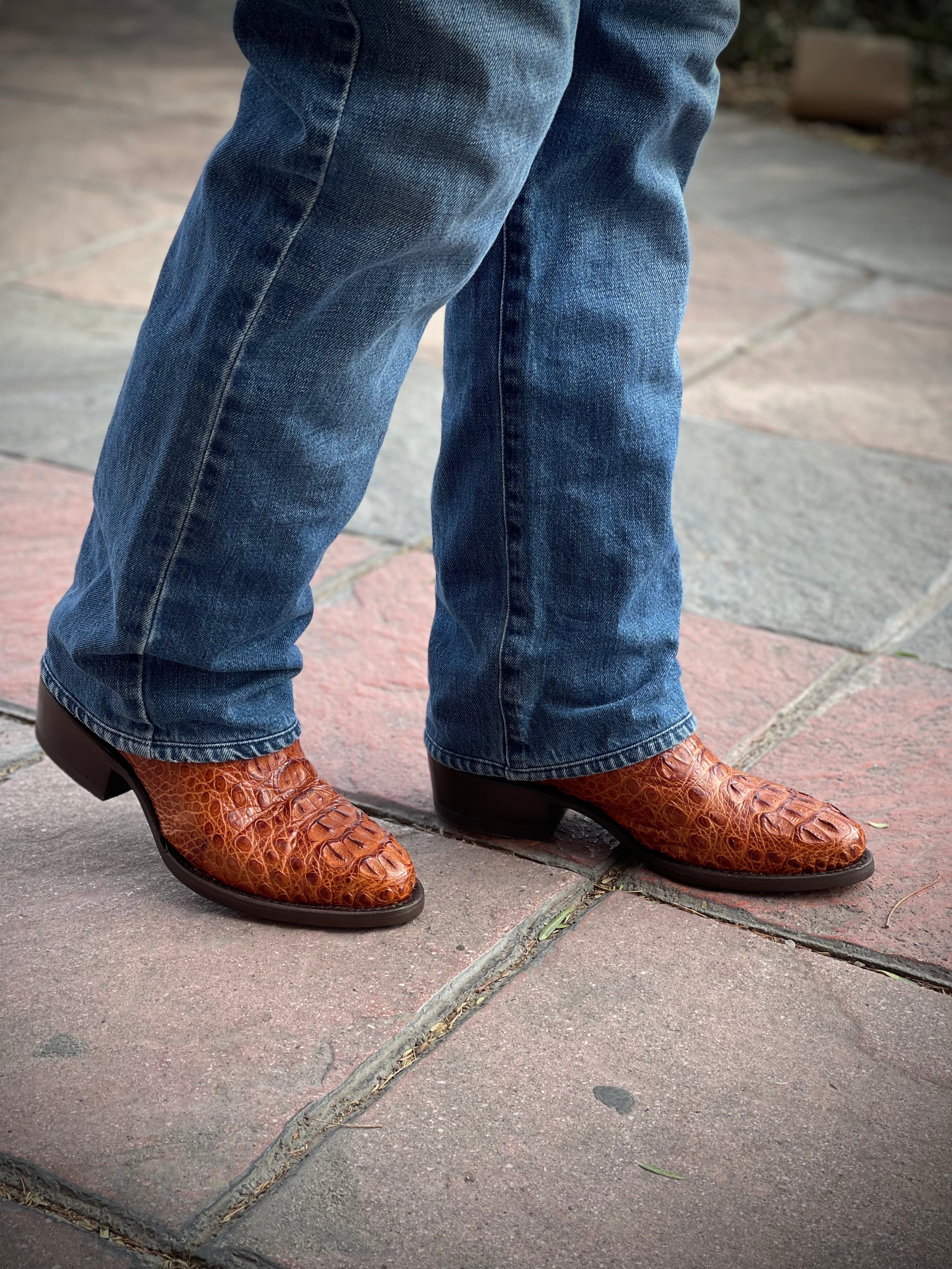 Bota Deluxe - Cocodrilo Shedrón