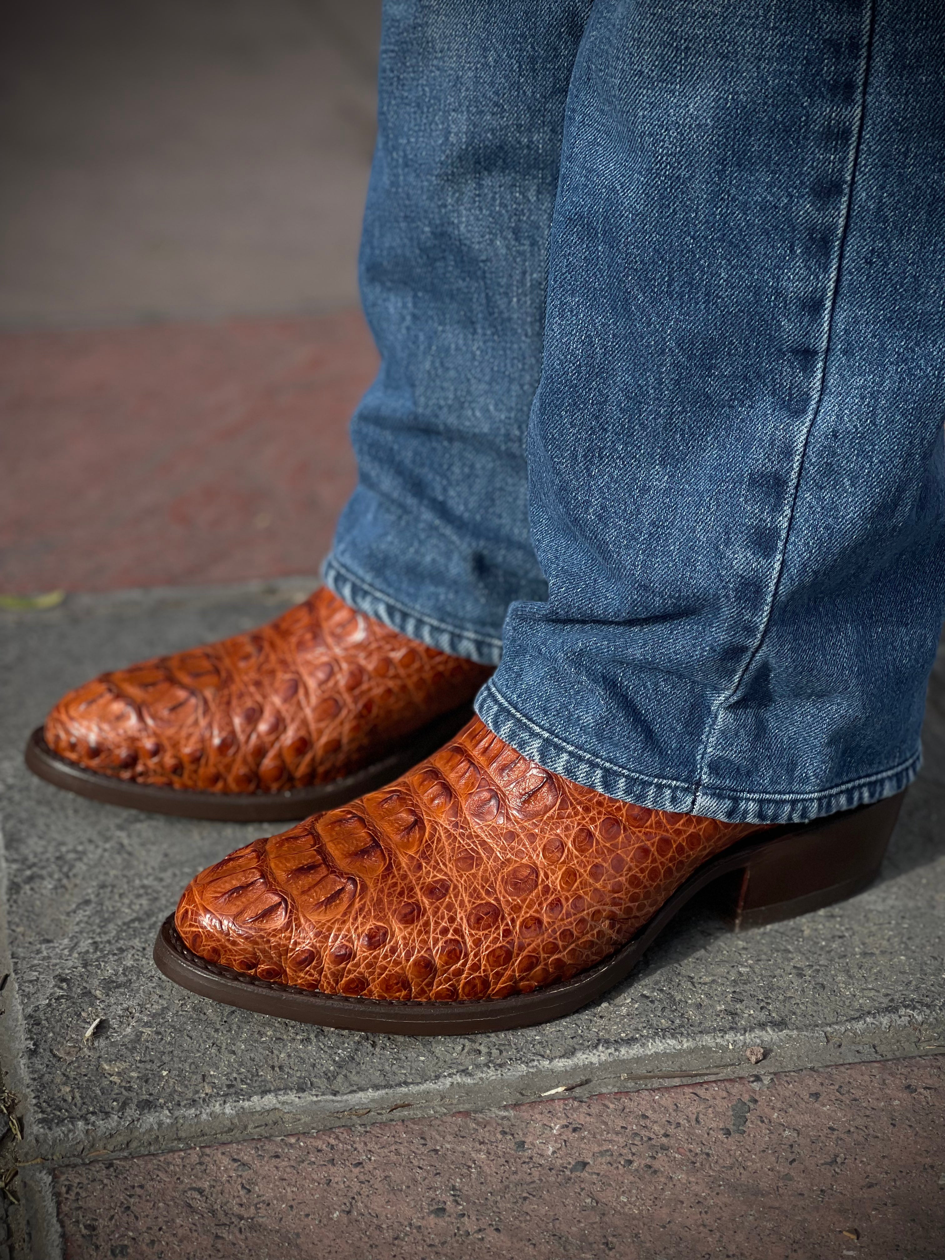 Bota Deluxe - Cocodrilo Shedrón