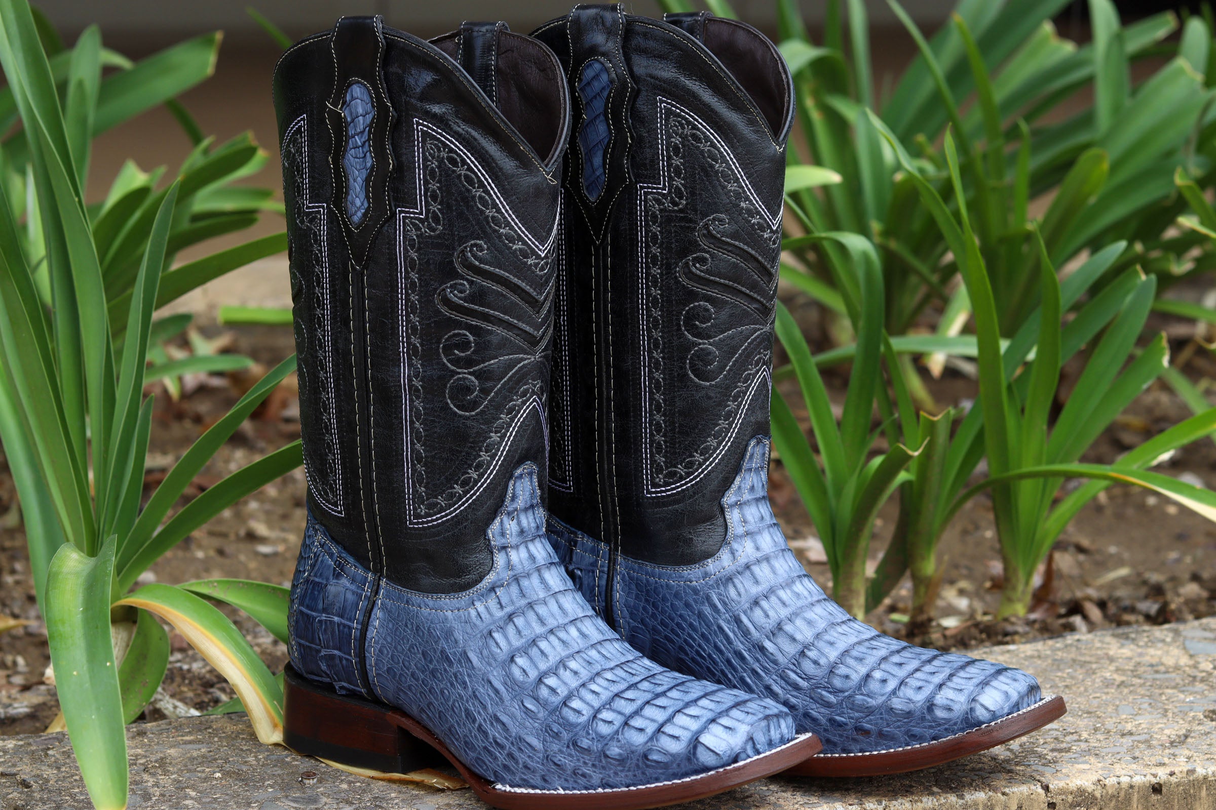 Bota Maverick - Lomo de Cocodrilo