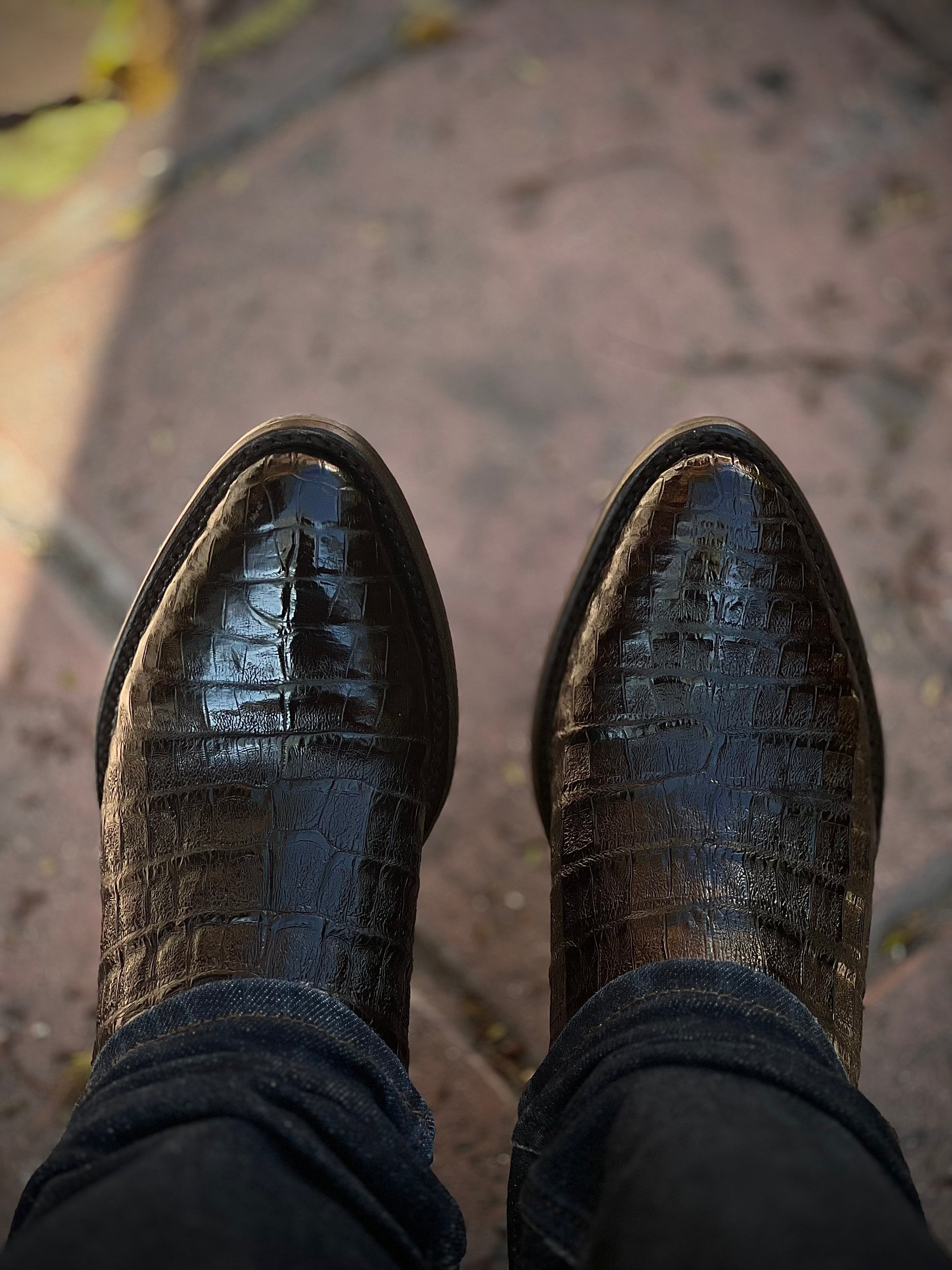 Bota catrín - Cocodrilo fuscus