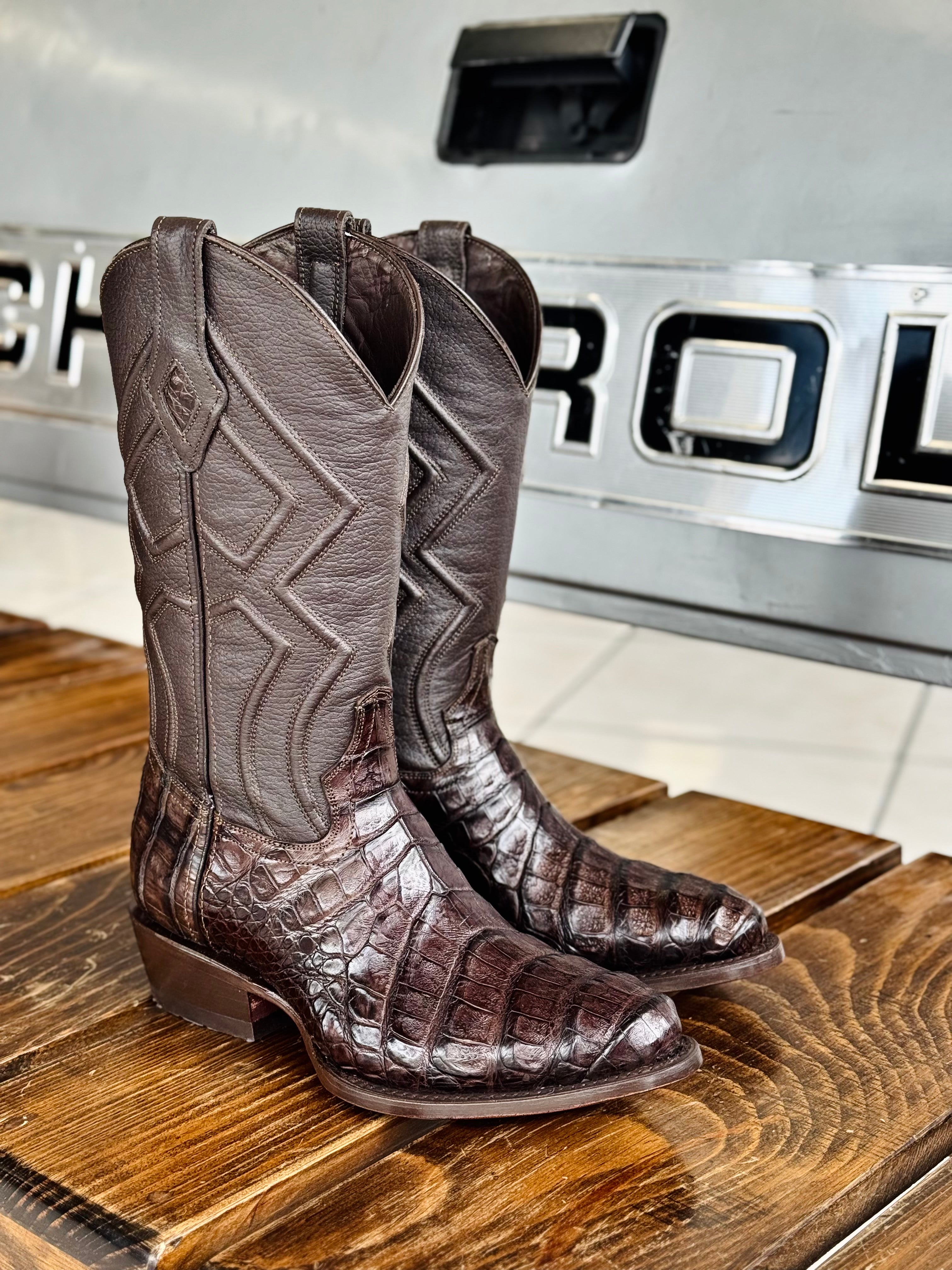 Bota catrín - Cocodrilo fuscus