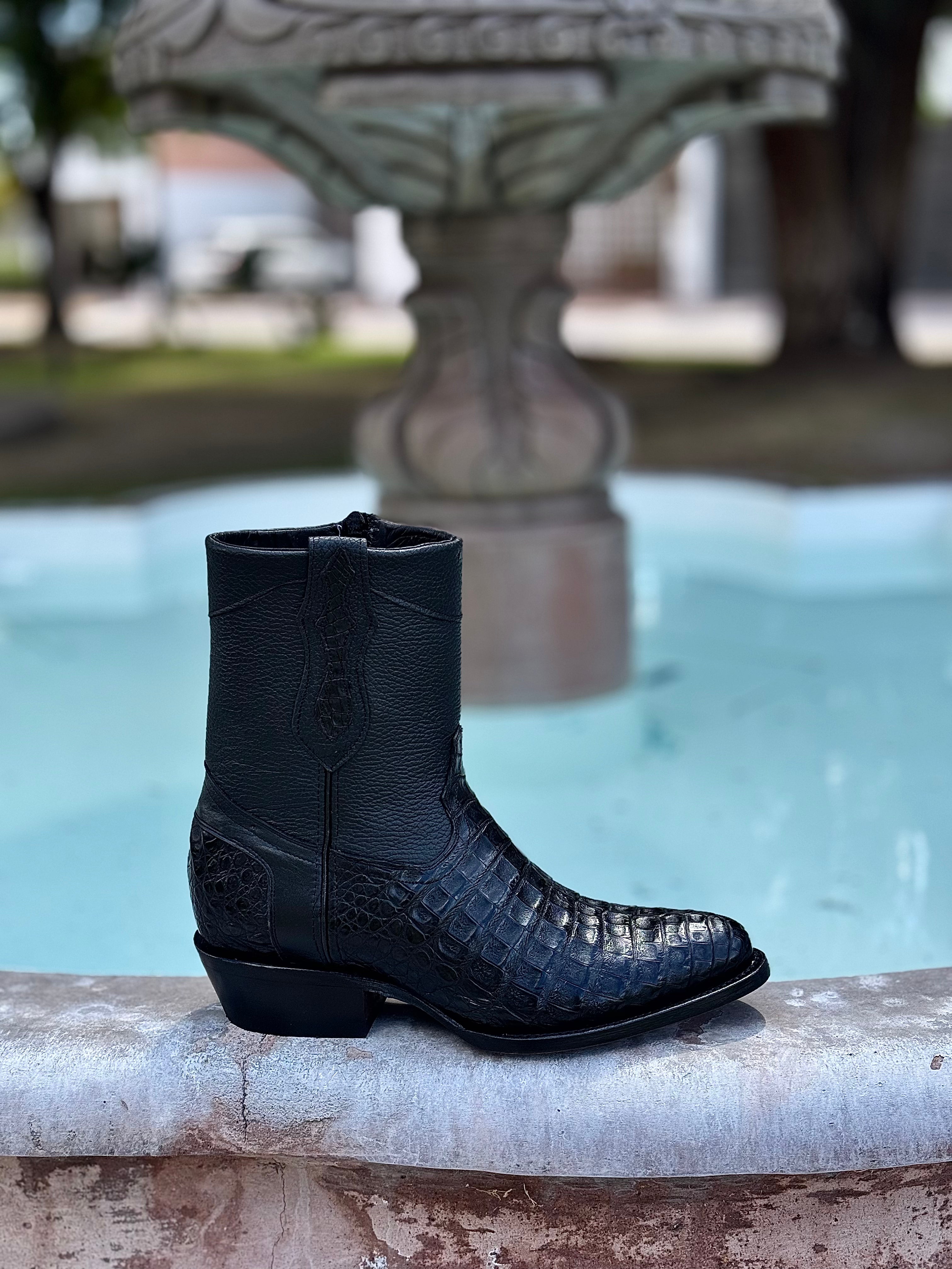 Botín Catrín - Cocodrilo fuscus