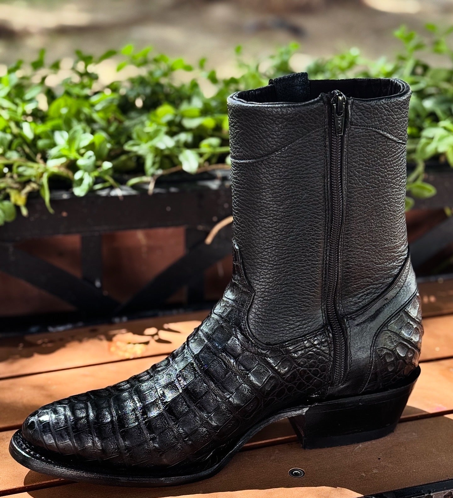 Botín Catrín - Cocodrilo fuscus