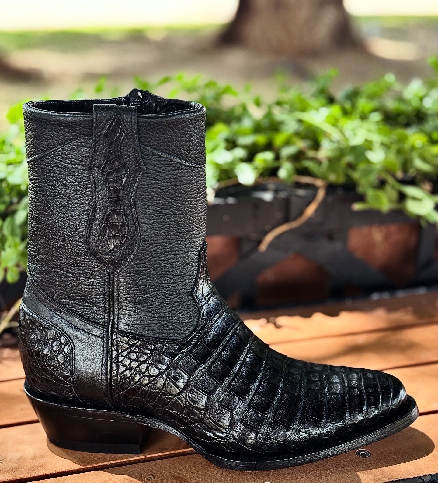 Botín Catrín - Cocodrilo fuscus